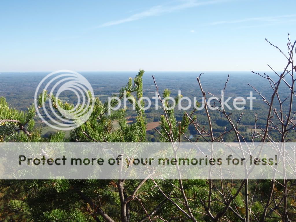 Pilot Mountain & Mt. Airy Photos (King rentals, camp, move) North